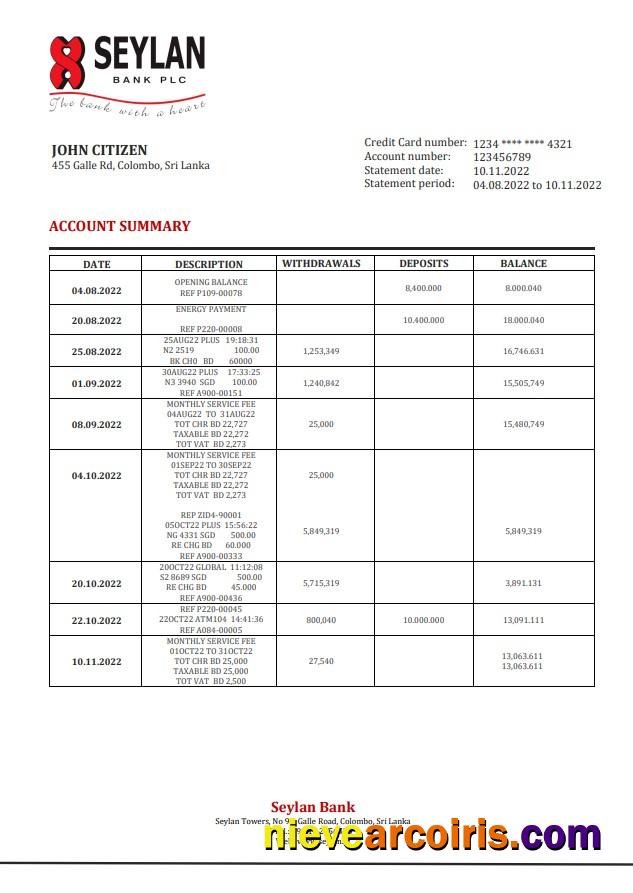 Sri Lanka Seylan bank statement